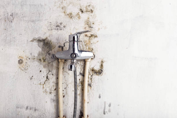 Fairhope, PA Mold Removal Company