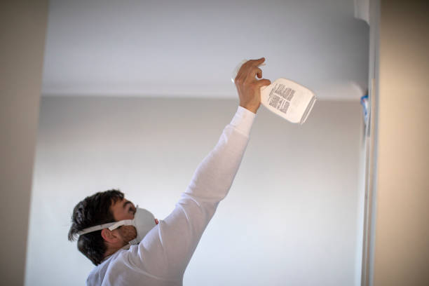 Best Mold Removal Near Me  in Fairhope, PA