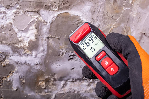 Best Mold Testing  in Fairhope, PA